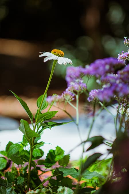 Live Kitchen — Francisca Sotto & Jeremy Morris